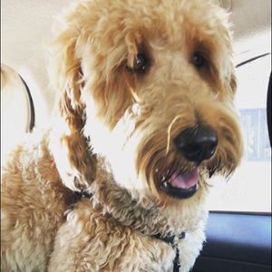 Meet your Posher, Poonam